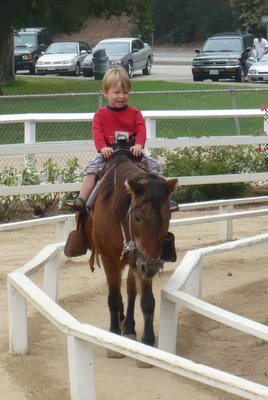 jonah pony ride